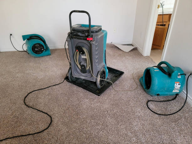 Professional Water damage restoration in MS