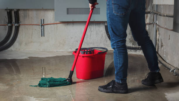 Best Water damage contractors near me  in Sunflower, MS