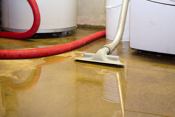 Best Water damage contractors near me  in Sunflower, MS