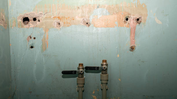 Best Emergency water damage restoration  in Sunflower, MS