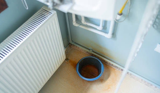 Best Local water damage restoration  in Sunflower, MS