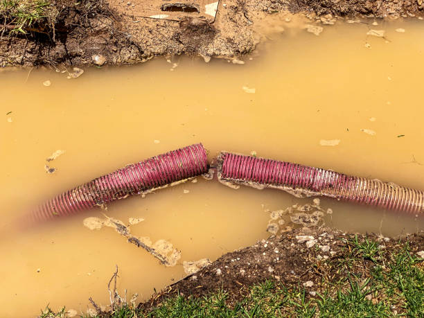  Sunflower, MS Water damage restoration Pros