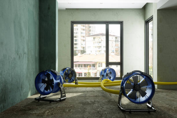 Best Ceiling water damage repair  in Sunflower, MS